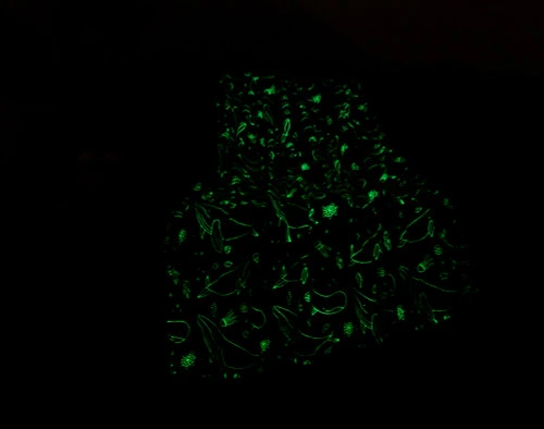 Notre Whale Pod Glow in the Dark polaire Jeté  assis avec une lueur vert clair dans un salon sombre.