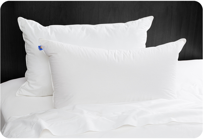 Deux oreillers en duvet blancs sur le site blanc drap à fond sombre