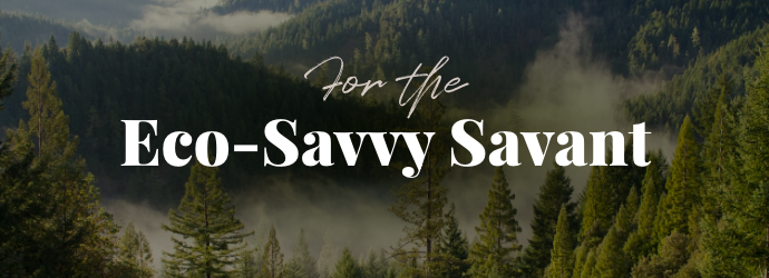 For the Eco-Savvy Savant